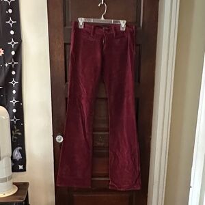 Marc Vachon Burgundy Corduroy Flare Pants